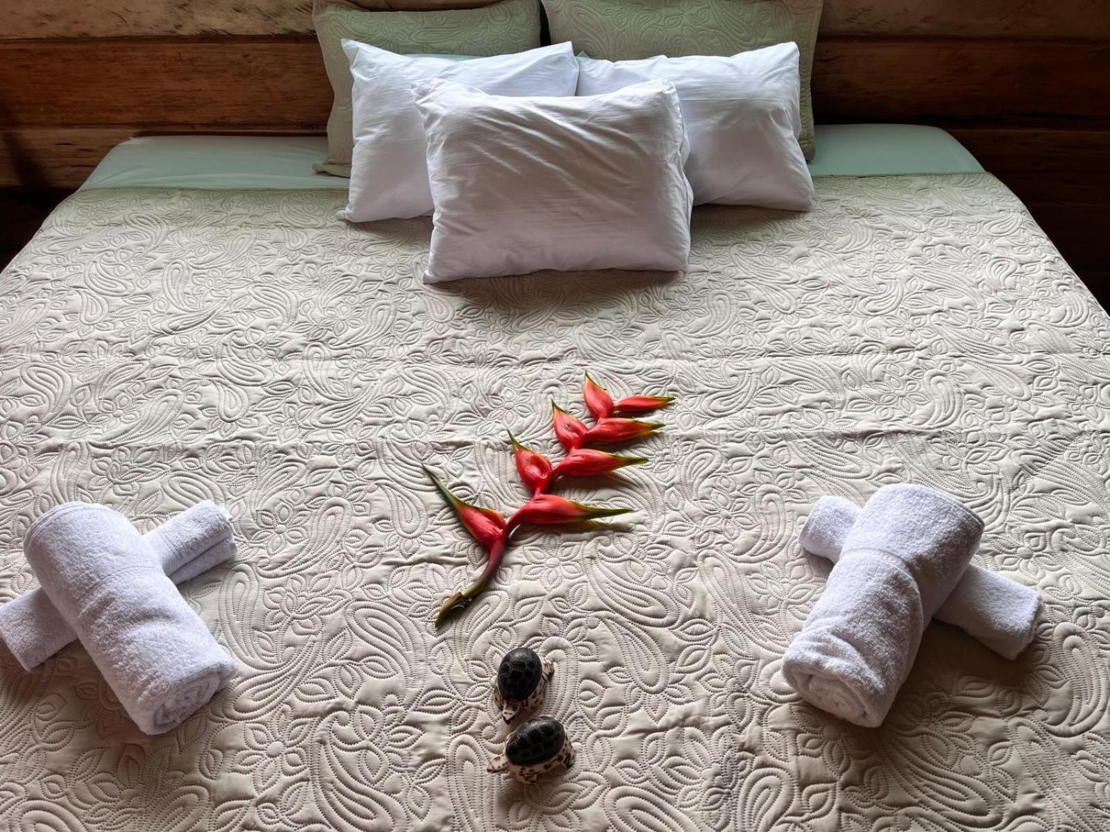 Purachata Ecolodge Iquitos Exterior photo