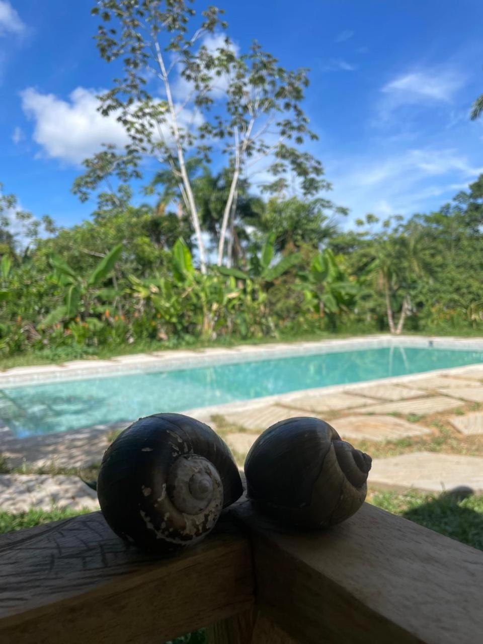 Purachata Ecolodge Iquitos Exterior photo