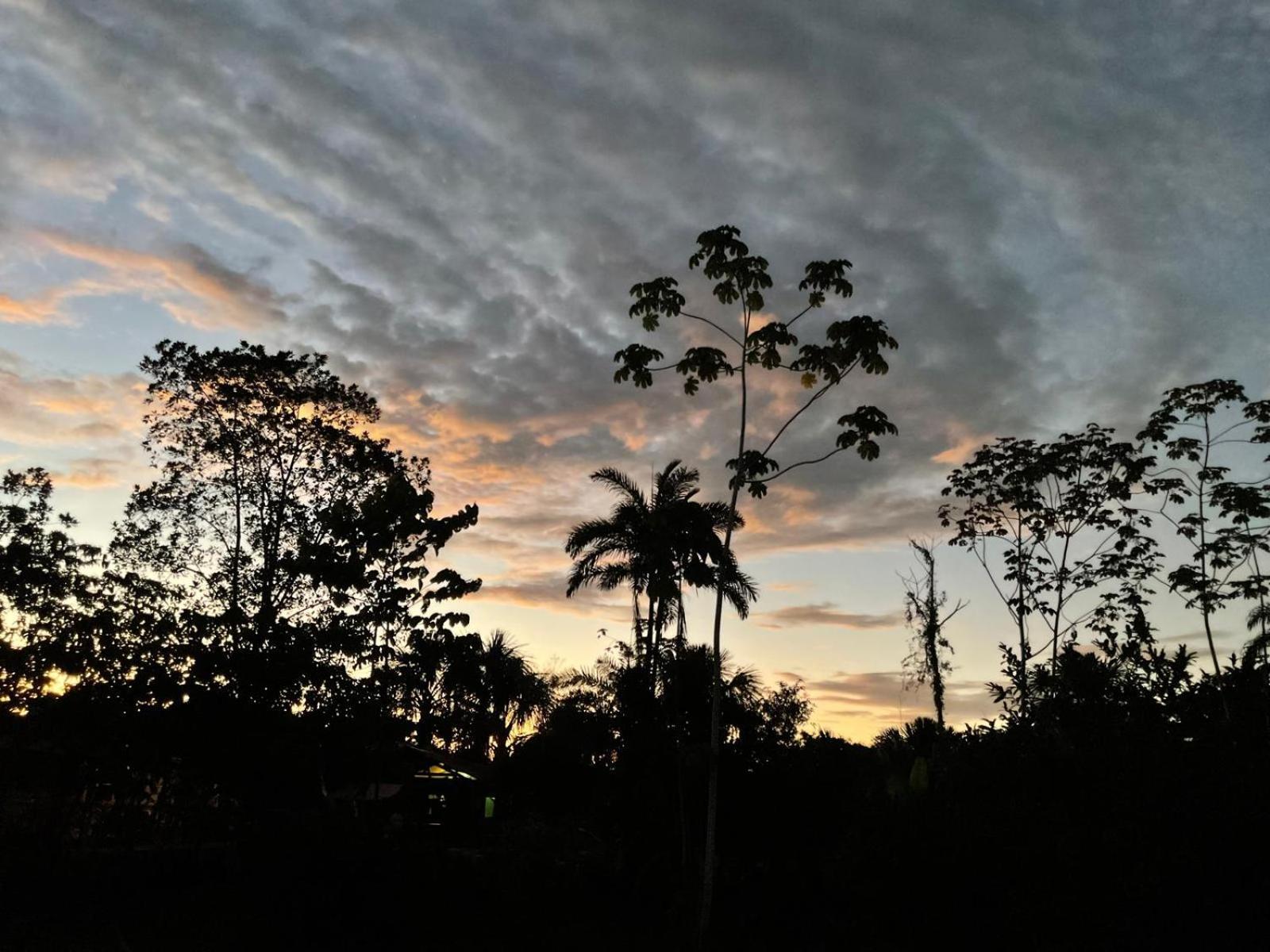 Purachata Ecolodge Iquitos Exterior photo