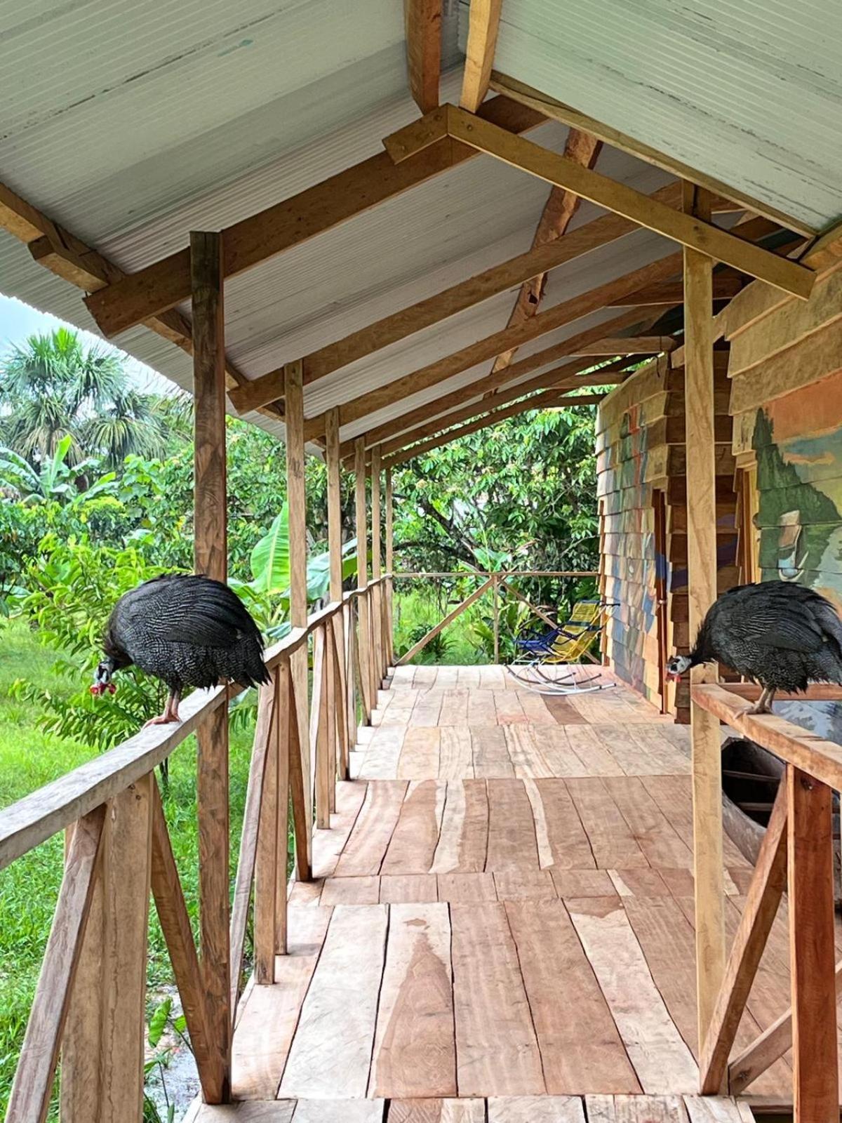 Purachata Ecolodge Iquitos Exterior photo