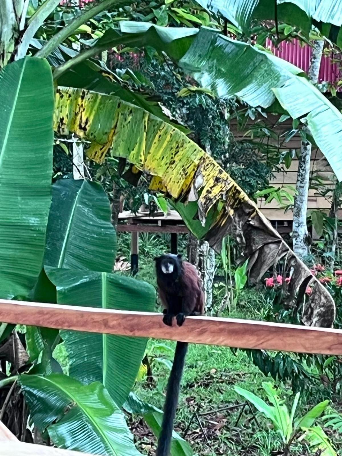 Purachata Ecolodge Iquitos Exterior photo