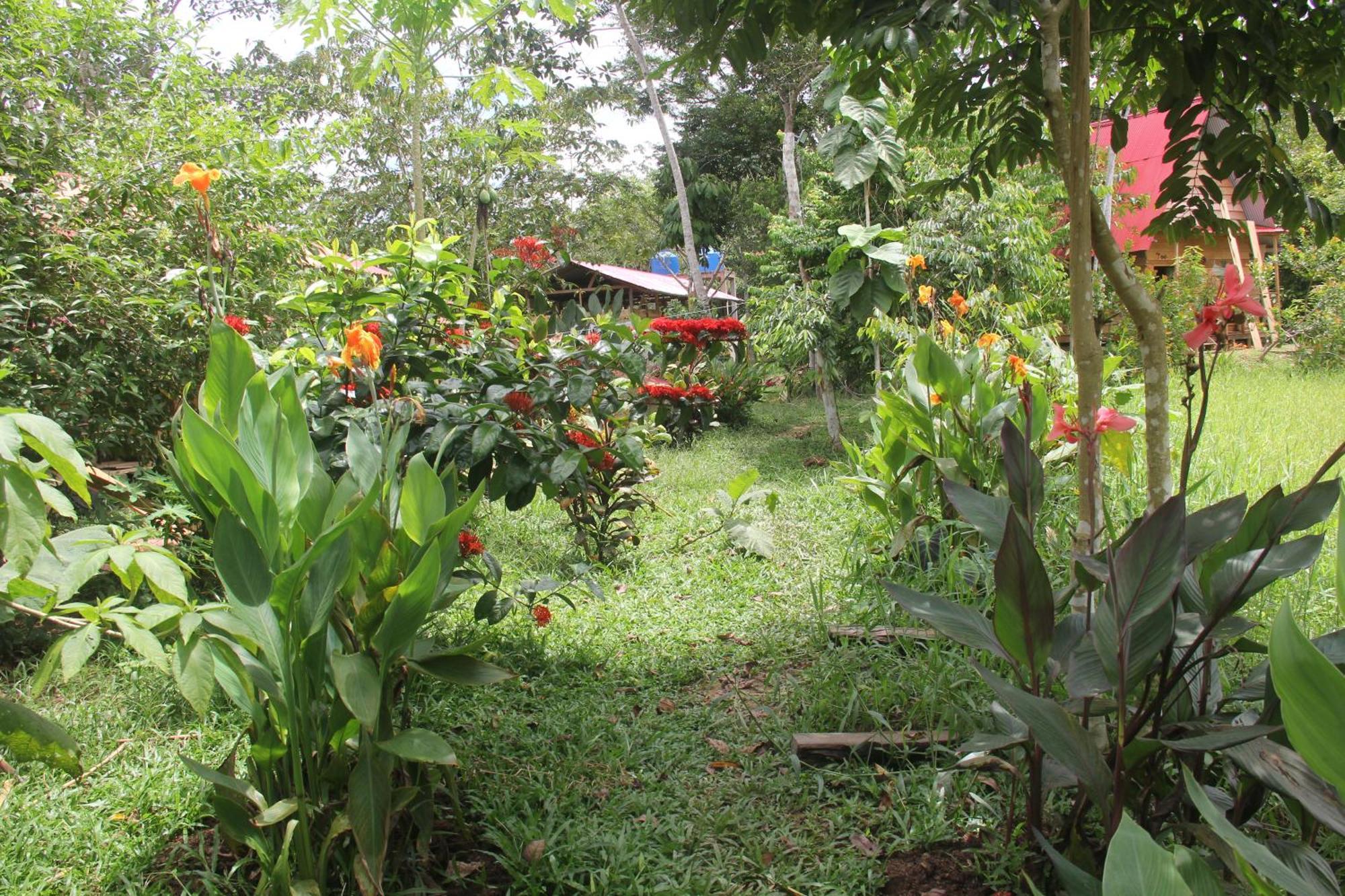 Purachata Ecolodge Iquitos Exterior photo